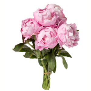 flowers peony pink stem bouquet